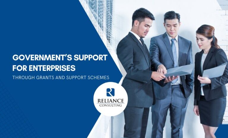 Government’s Support for Enterprises Through Grants and Support Schemes